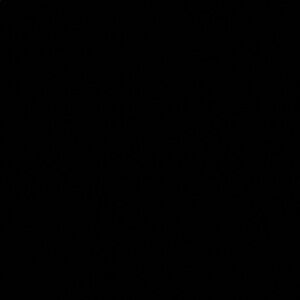 ITEM SOLD DO NOT BUY